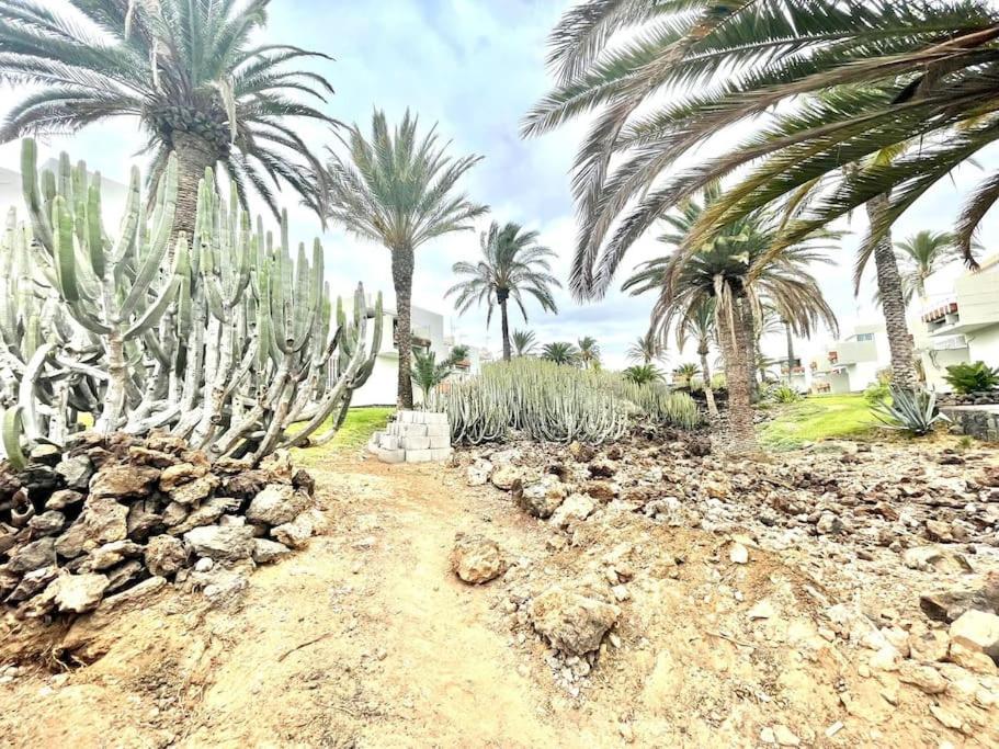 Apartamento Con Piscina Sur De Tenerife Costa Del Silencio Buitenkant foto